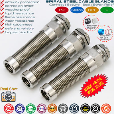 AISI316L, AISI316, AISI304 สแตนเลส โลหะ PG กระชับกระดูกเคเบิล (IP68) ด้วยการบรรเทาความยืดหยุ่นแบบสไพร่เพิ่มเติม